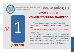 Баннер 1 декабря12_1